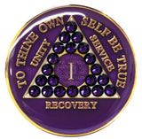 Crystallized Tri-plate Purple - Purple Velvet