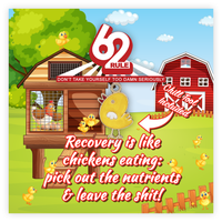 Rule 62 Charm | Chicken | Recovery is like Chickens....