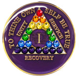 Crystallized Tri-plate Purple Rainbow LGBT