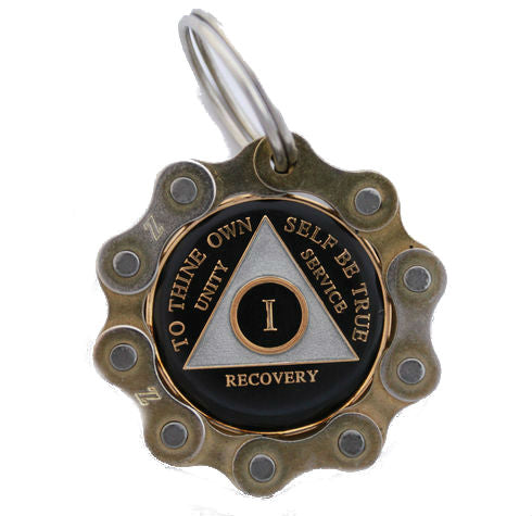 Bike Chain Medallion Holder Gold – Recovery Mint